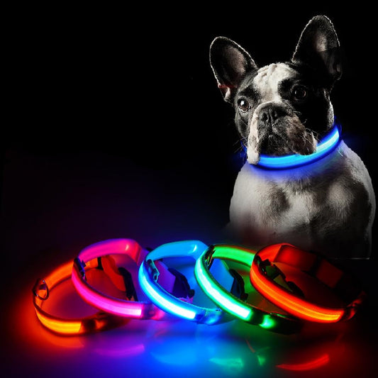 LED Dog Collar - The Urban Pride